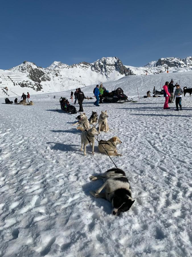 Bel Appartement Ski Aux Pieds Plagne Bellecote La Plagne Ngoại thất bức ảnh