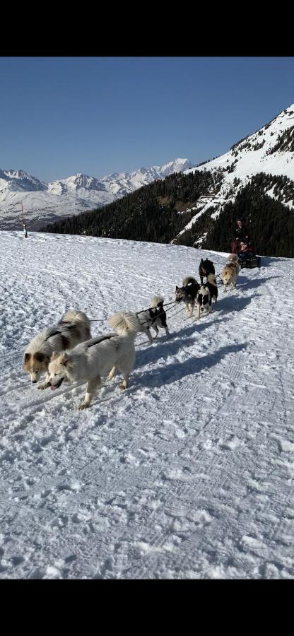 Bel Appartement Ski Aux Pieds Plagne Bellecote La Plagne Ngoại thất bức ảnh